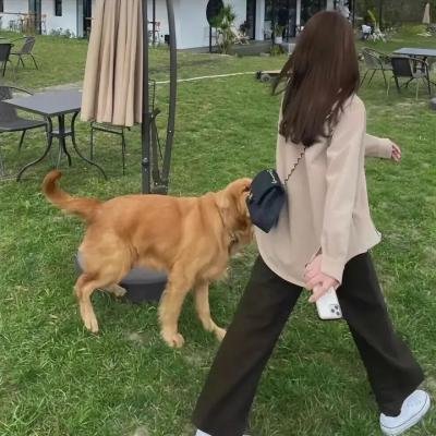 蓝盐