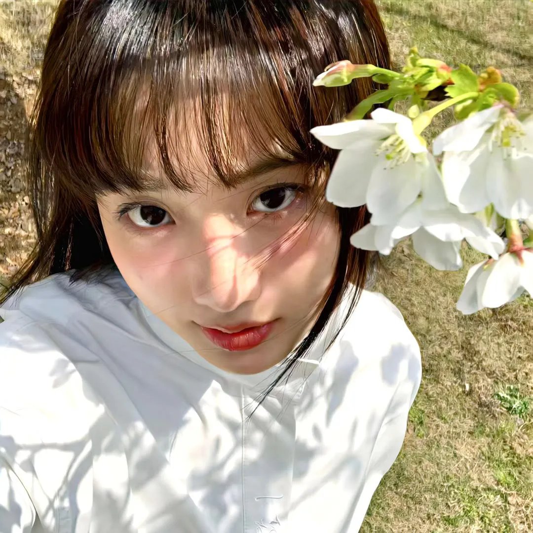风流公子花弄蝶